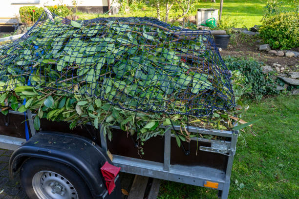 Best Yard Waste Removal  in Malta, MT